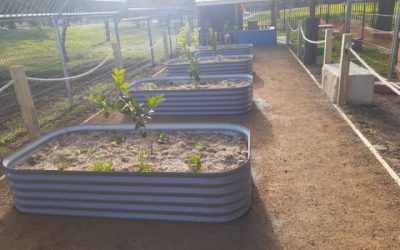 Case Study: Sustainable gardens for a Western Sydney Local Health Area Childcare Centre.