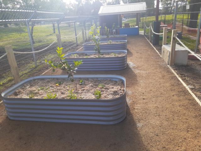 Case Study: Sustainable gardens for a Western Sydney Local Health Area Childcare Centre.